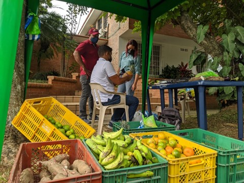 Local Farmers Achieve Stable Income and Profitability Through Agroforestry.