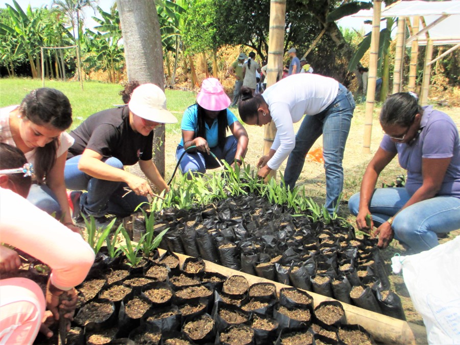 Community Empowerment Through Agroforestry and Urban Gardening.