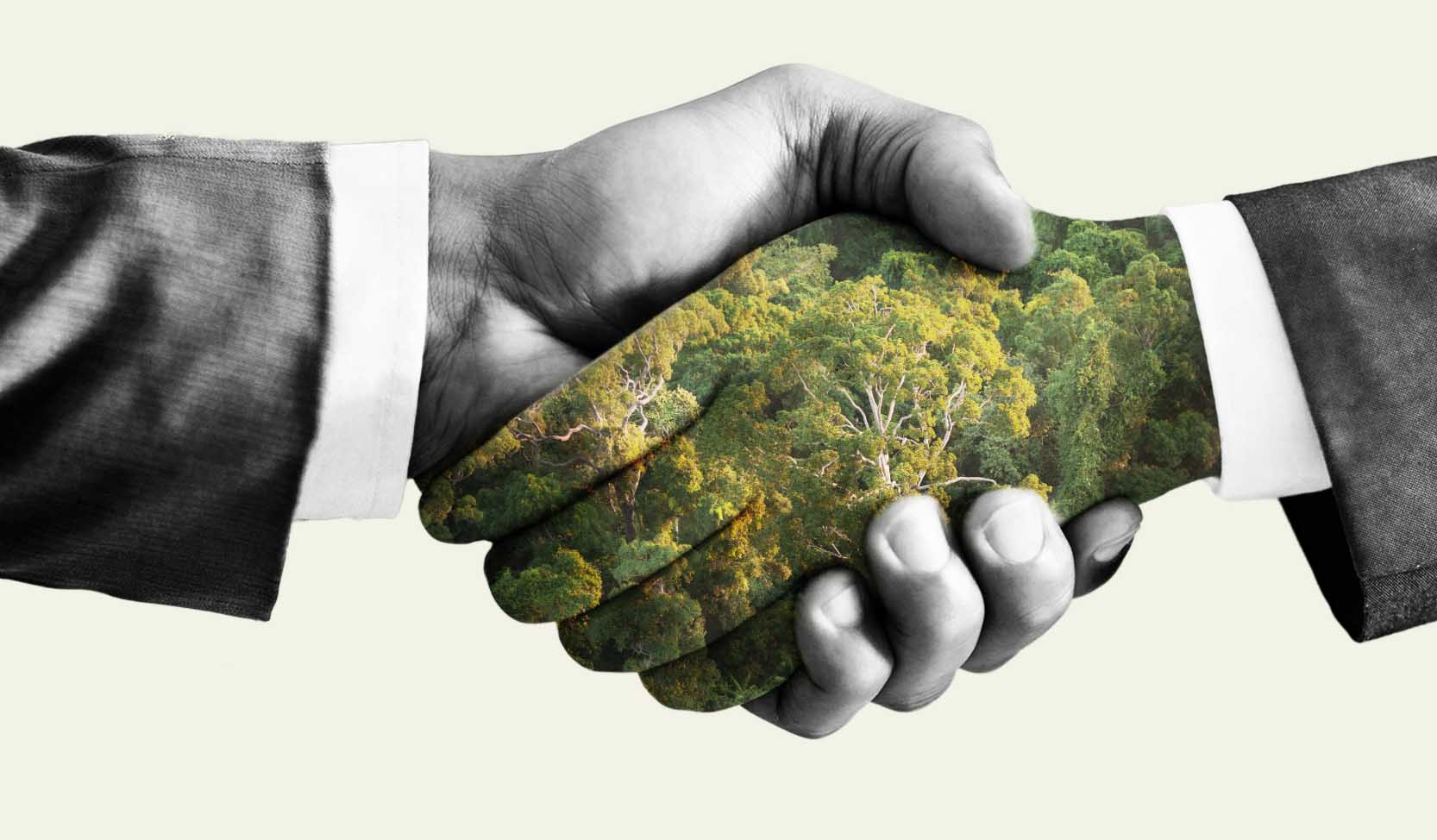"Ein Geschäftsmann schüttelt einer mit Bäumen bedeckten Hand die Hand. Das Konzept eines Unternehmens, dem es wichtig ist, Netto-Null-Emissionen zu erreichen.”