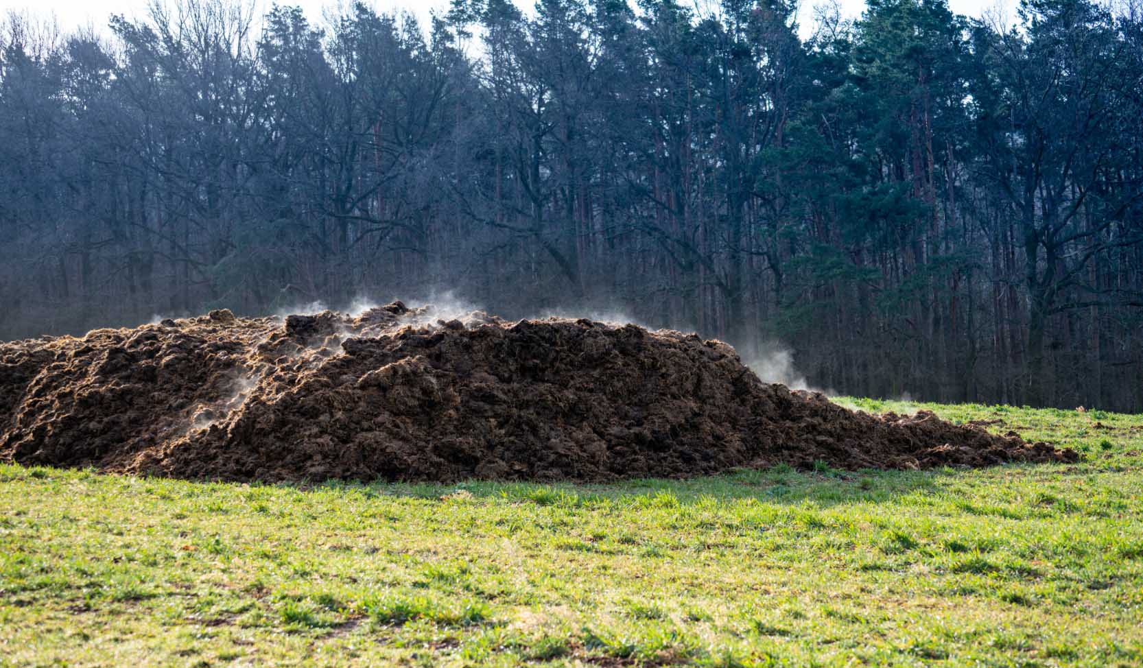 "Ein Haufen Kuhmist symbolisiert die Verschmutzung durch Methan, ein starkes Treibhausgas, das zum Klimawandel beiträgt."