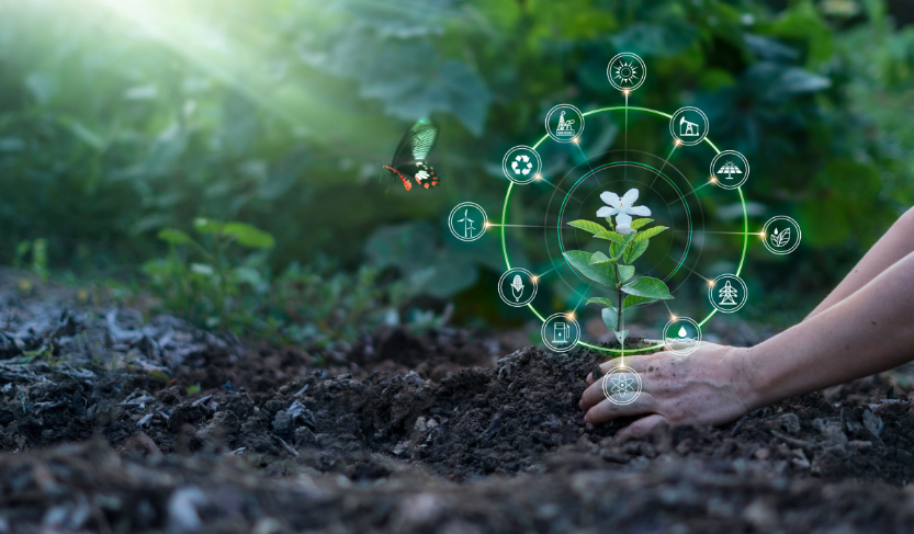 "Frauenhände pflanzen einen Baum neben Symbolen für erneuerbare Energien, die eine nachhaltige und umweltfreundliche Entwicklung symbolisieren".