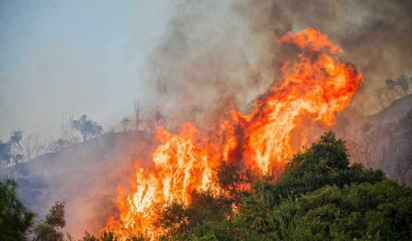 "Luftaufnahme eines durch Abholzung verursachten Waldbrandes."