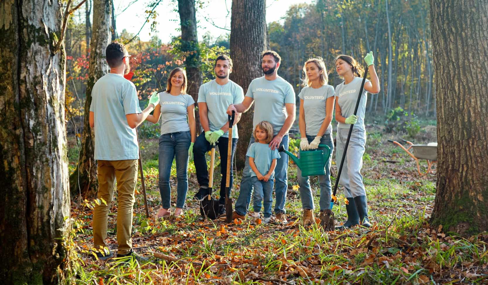 "Eine Gruppe von Freiwilligen in einem Wald ist bereit, Bäume zu pflanzen." 