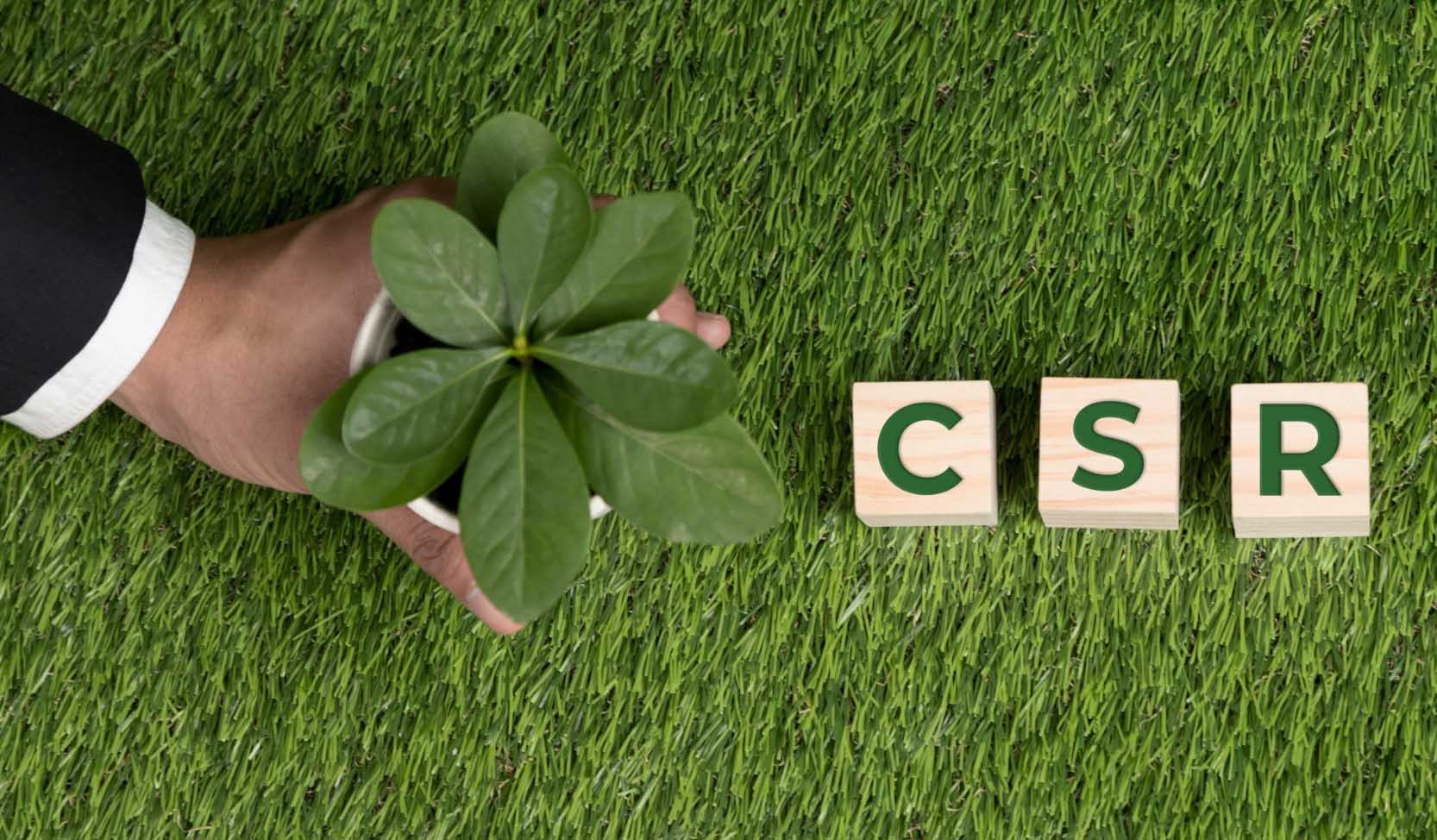 "Eine Hand hält einen kleinen Baum neben CSR-Würfeln in einem grünen Hintergrund".  